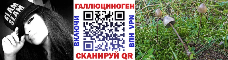 Псилоцибиновые грибы мицелий  Купить  Арамиль 